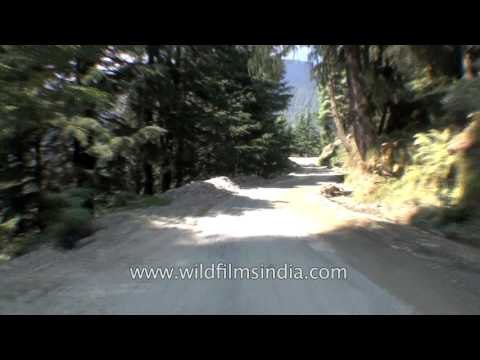 Driving in Himachal Pradesh - Khanag to Jalori Pass Part - 4