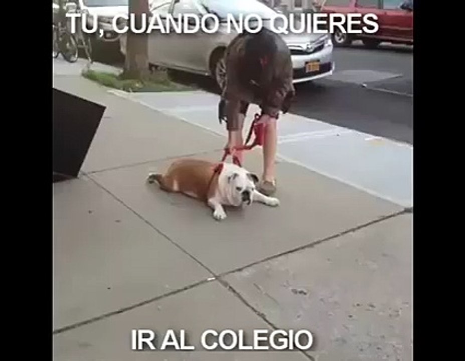 funny5