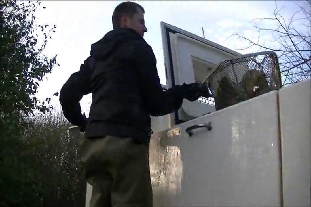 CAUDRY BASE DE LOISIRS REMPOISSONNEMENT 23 NOVEMBRE 2015