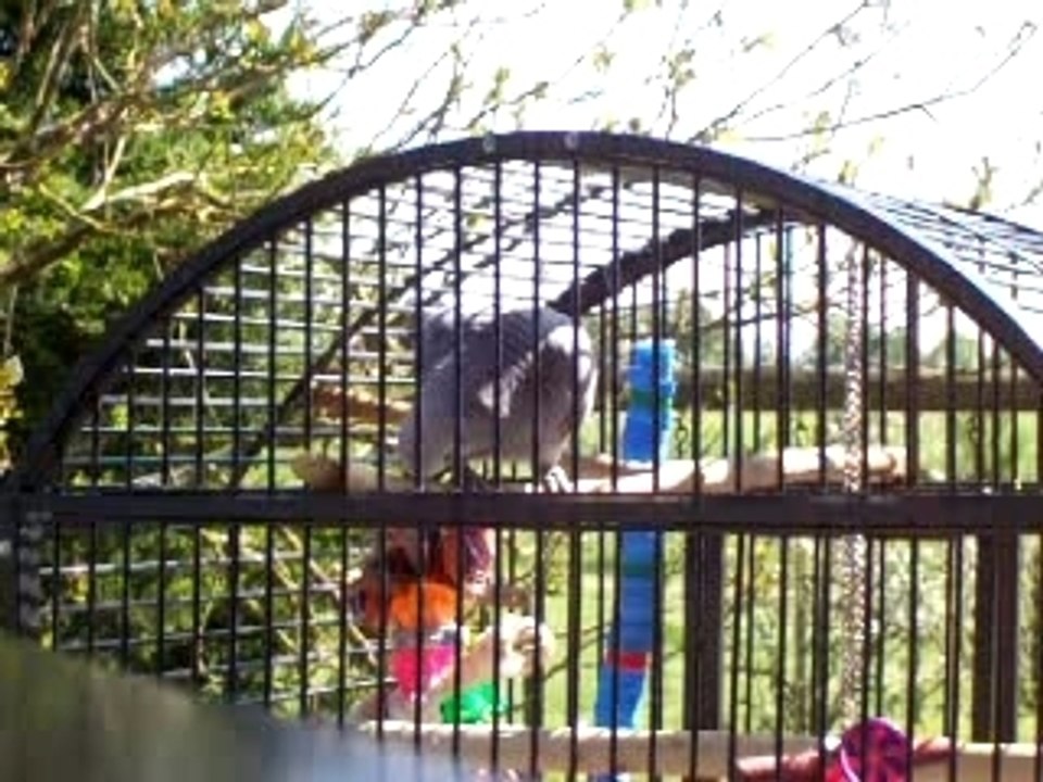 Je commence a dire poppy