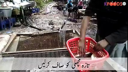 Famous Naran Kaghan Trout Fish Recipe