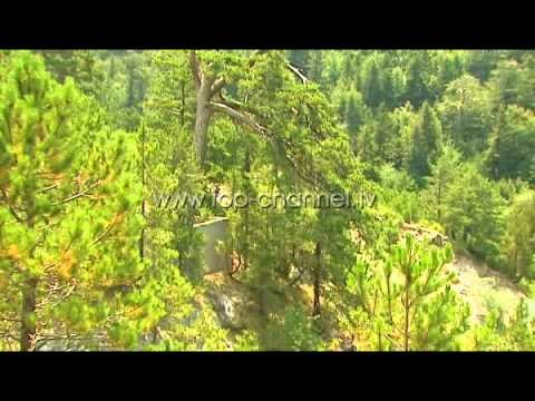 Shqipëria Ime në bregdetin e Vlorës - Top Channel Albania - News - Lajme