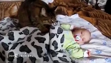Ever need help getting your baby to sleep? Just ask this cat to help!