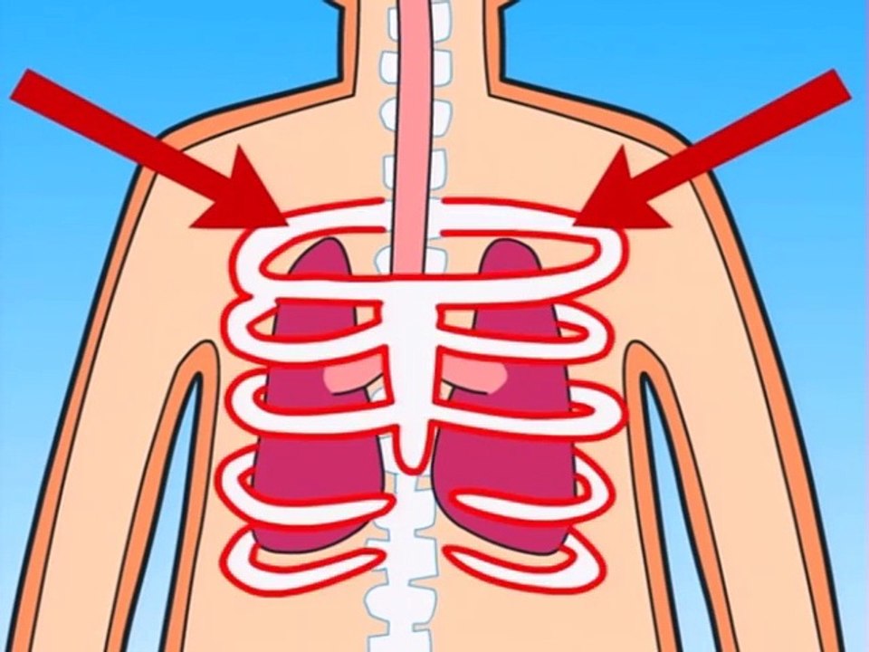 How Do My Lungs Work