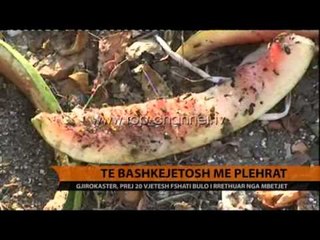 Të bashkëjetosh me plehrat - Top Channel Albania - News - Lajme