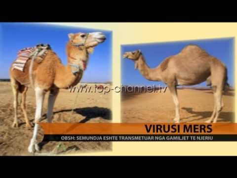 Virusi Mers - Top Channel Albania - News - Lajme