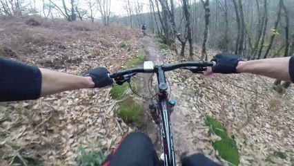 RANDO "BALADE DE LA FRESSURE" - LES HERBIERS - LE 15/11/15