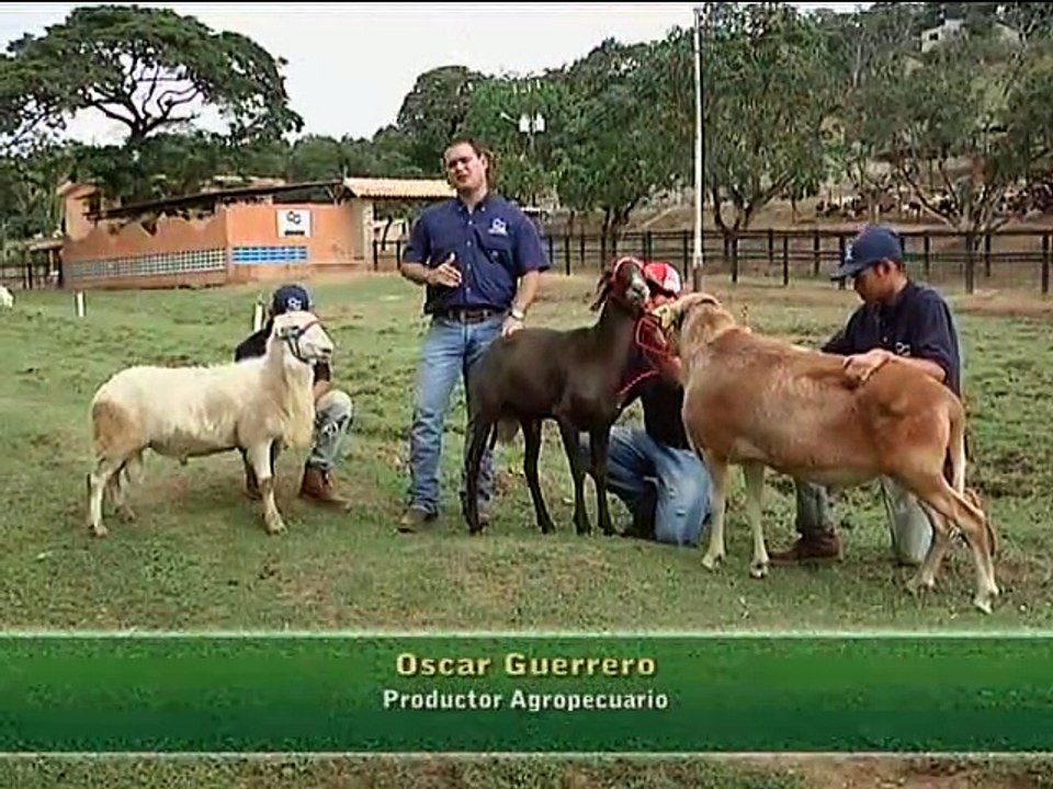 20 de noviembre de 2015 Sueño Real Ranch