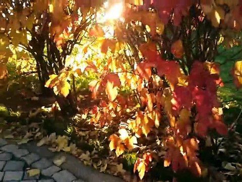 HER ŞEYİ UNUTMUŞSUN SEN-EMEL SAYIN