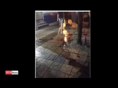 VRET 4 PERSONA NJE KINEZ SULMON ME THIKE NE AUTOBUS PLAGOS 11 VETA LAJM