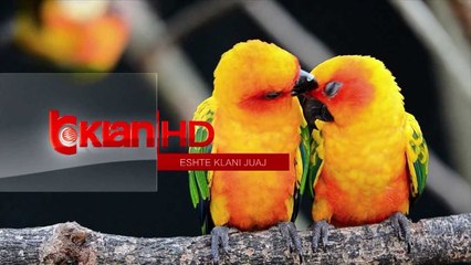 Klan Sot - Programi (30 gusht 2013)