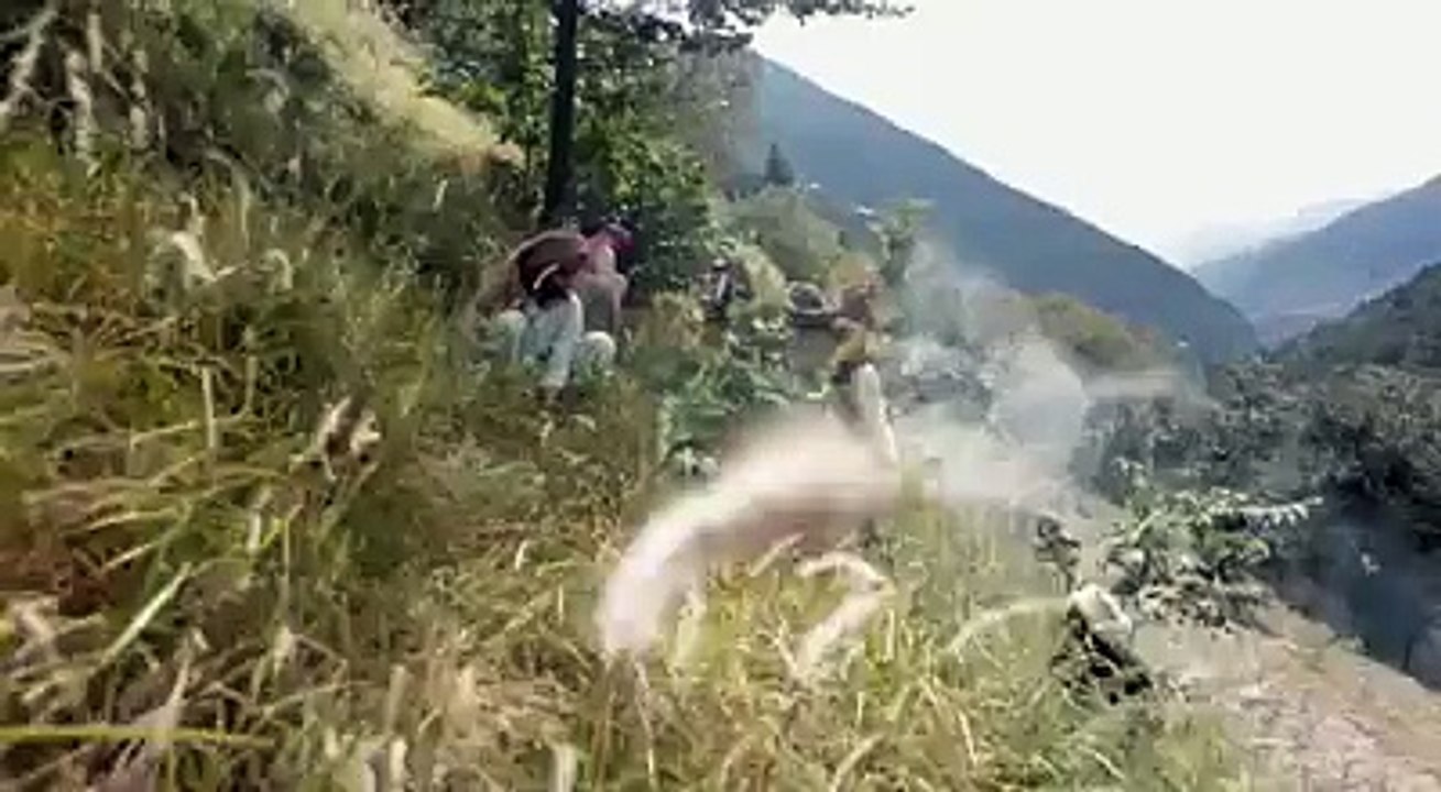 1447603542.mp4