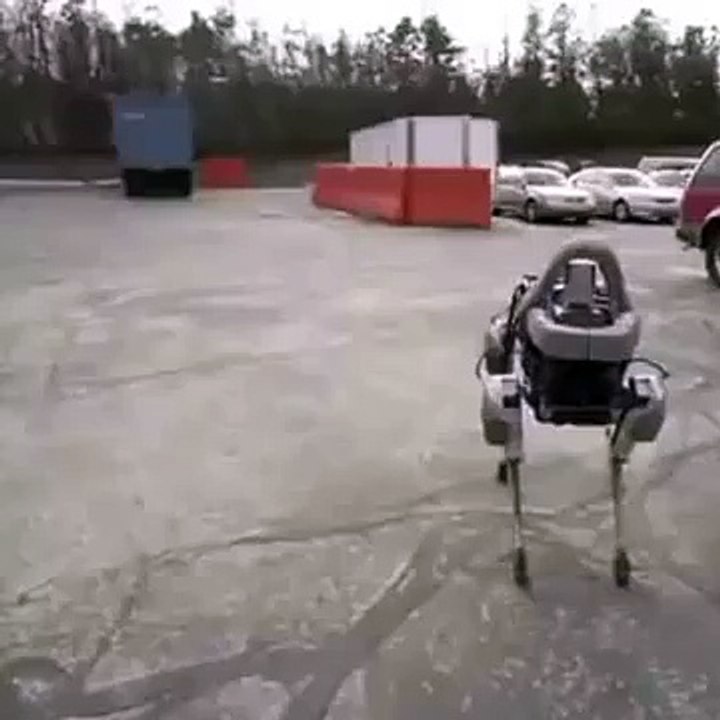 what the hell carl