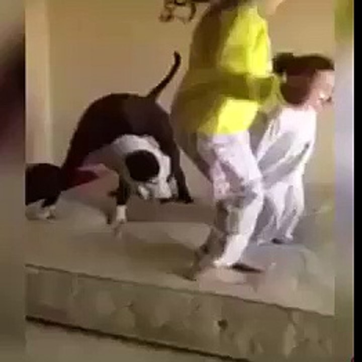 funny10