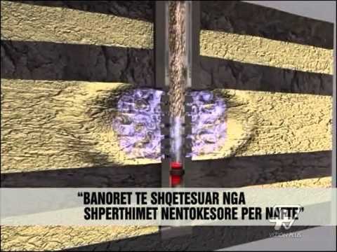 Berzh, raport për Bankers Petroleum - News, Lajme - Vizion Plus