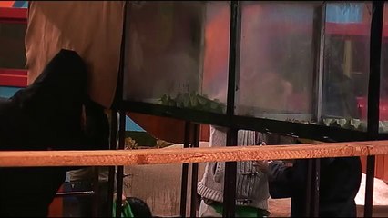 Miki umalo otkazalo srce (Veliki Brat 2015)