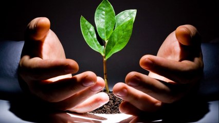 How to Maximize your ROI from Social Media Advertisement