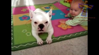 Dogs and babies are best friends