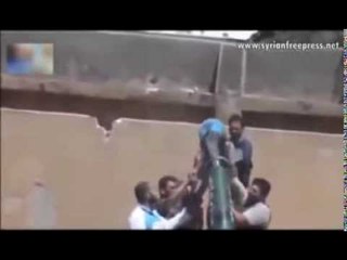 REAGON OKB RAPORTI I EKSPERTEVE PER ARMET KIMIKE NE SIRI I PAANSHEM LAJM