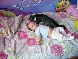 Сute Сat Soothing Crying Baby