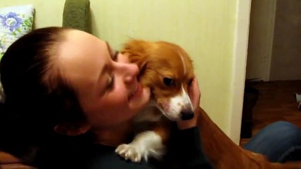 Dog is Blaming Owner for Being Out  for So Long.