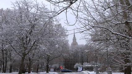 Белоснежная сказка в ноябре ❄️ — Очаровательные пейзажи и уютные моменты