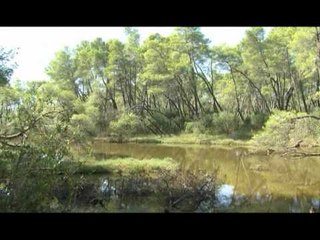 LAGUNA E KARAVASTASE PO SHKATERROHEN PYJET DHE PO ZHDUKEN SPECIET E RRALLA LAJM