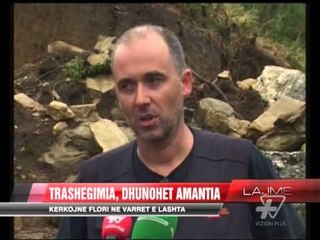 Trashëgimia, dhunohet Amantia - News, Lajme - Vizion Plus