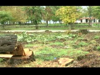 MASAKER NE POGRADEC PRITEN 15 PEME SHEKULLORE TEK "PARKU I VILAVE" LAJM