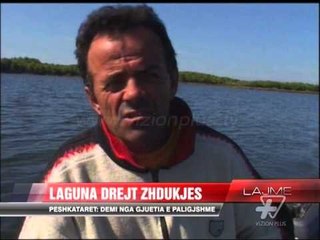 Laguna e Nartës rrezikon zhdukjen - News, Lajme - Vizion Plus
