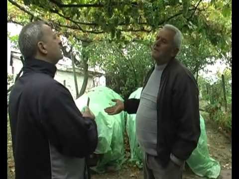 MBIPRODHIMI I QEPES FERMERET NE KORÇE ANKOHEN PER MUNGESEN E TREGUT LAJM