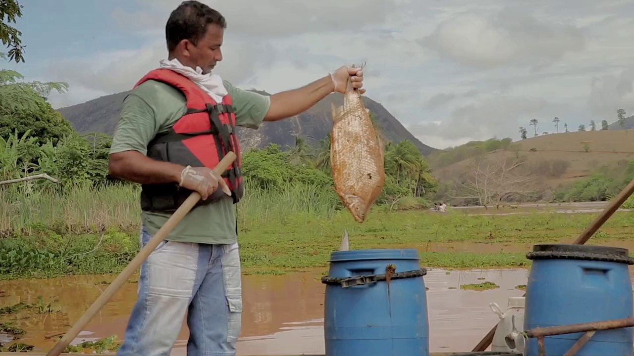 Emoção de pescadores no Rio Doce
