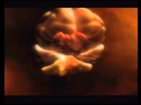 STUDIMI PER GJUMIN ESHTE I DOMOSDOSHEM PER PASTRIMIN E TE GJITHE TRUPIT LAJM