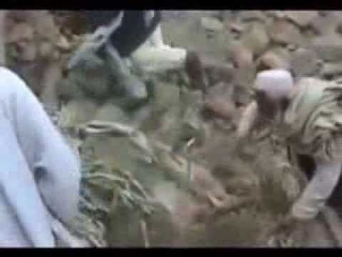 AMNESTY INTERNATIONAL SULMET E SHBA ME AVION PA PILOT TE JASHTELIGJSHME LAJM