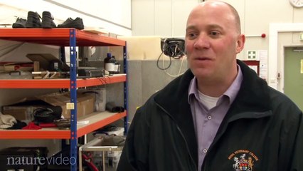 Crouching Tiger Hidden Dragon - Turkish Song