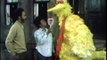 Classic Sesame Street Big Bird Uses a Mirror/Buddy & Jim