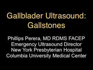 How to: Gallblader Ultrasound Part 1 - Introduction - SonoSite, Inc.