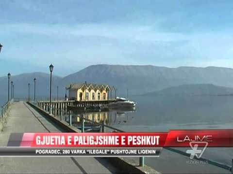 Gjuetia e paligjshme e peshkut - News, Lajme - Vizion Plus
