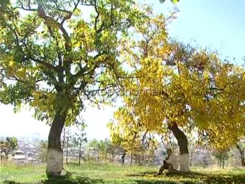 Ilia: Kam tre dashuri, gruan, fëmijët dhe serenatën - Top Channel Albania - News - Lajme