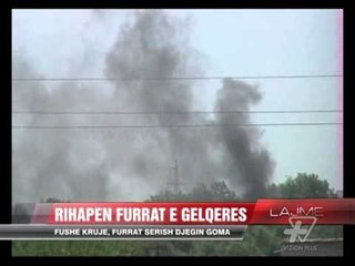 Fushë Krujë, furrat sfidojnë shtetin - News, Lajme - Vizion Plus