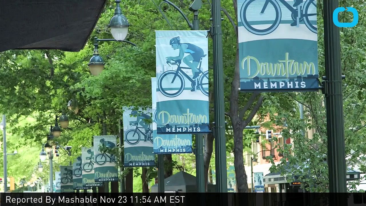 Spiders, Spiders Everywhere: Memphis's Sticky Situation