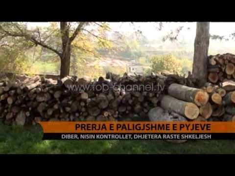 Prerja e paligjshme e pyjeve - Top Channel Albania - News - Lajme