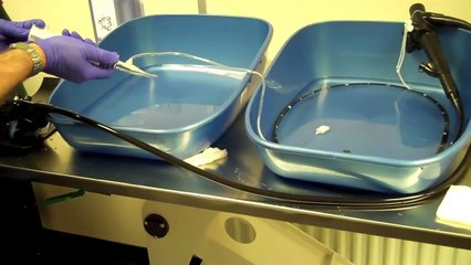 Flexible Endoscope Reprocessing - Manual Cleaning