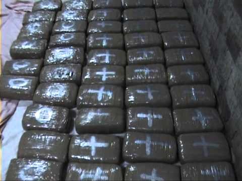 KAPET HASHASH POLICIA E GJIROKASTER KAP 150 KG HASHASH NGA LAZARATI LAJM