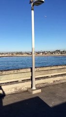 New Periscope Just Out by srmarkle