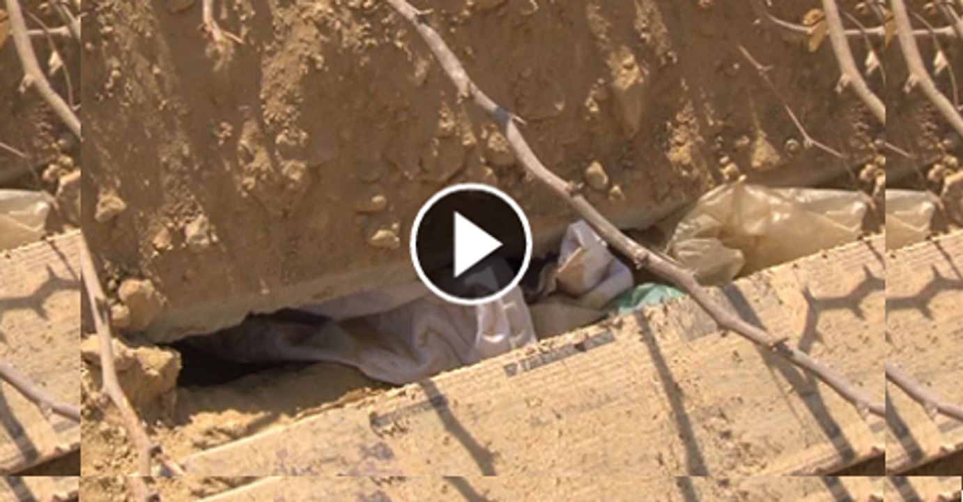 Paranormal Activities in Graveyard Scares Public