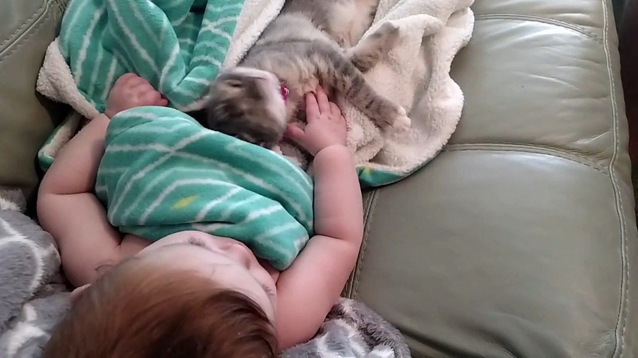 Un bébé et un chaton se réveillent de la sieste
