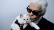 Meet Karl Lagerfeld's Cat, Choupette, Who Made $3 Million in a Year