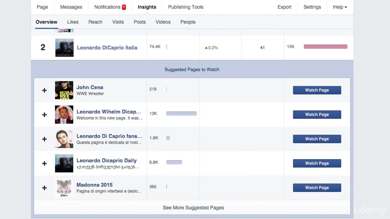 12_-_Master_Facebook_s_Insights_Panel