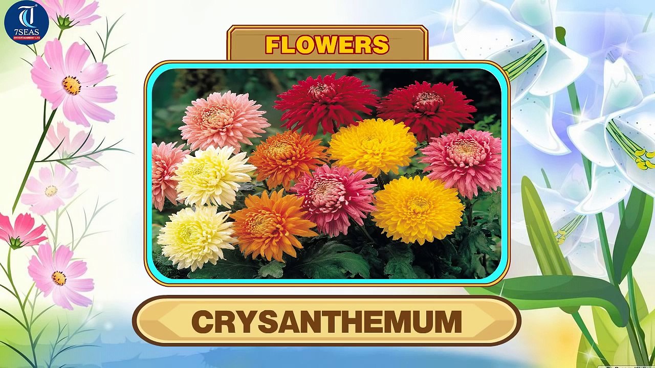 Learn Names of Flowers | Flower Names in Animation Video | Learning for Kids